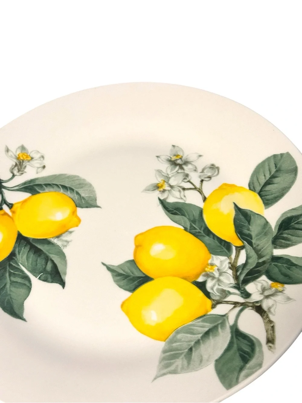 Royal Norfolk ‘Lemons’ White Ceramic Dinner Plate 10.5” NWT Discontinued 🦄